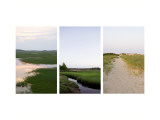 Coastal Streams Triptych