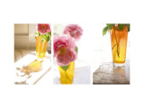 Rose in Amber Vase Triptych