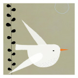 White Bird