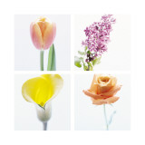 Pastel Stems Four Patch