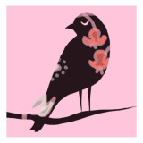 Brown Bird on Pink