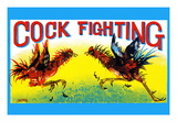 Cock Fighting
