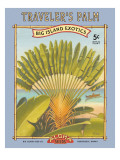 Traveler's Palm