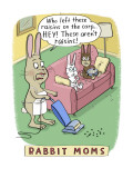 Rabbit Moms
