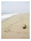 Footprints on Tranquil Beach
