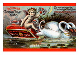 Buchan's Carbolic Toilet Soap
