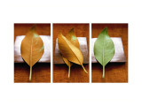 Leaves Arrangement Triptych