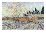 Orchard