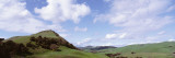 Hillside  Napa Valley  California  USA