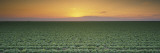 Lettuce Field at Sunset  Fresno  San Joaquin Valley  California  USA