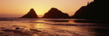 Silhouette of Rocks at Sunset  Heceta Head Lighthouse  Devils Elbow State Park  Oregon  USA