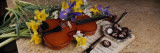 High Angle View of a Violin with Flowers
