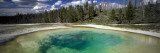 Hot Spring Pool in the Landscape  Beauty Pool  Yellowstone National Park  Wyoming  USA