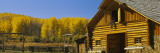 Cowboy Sitting on a Window of a Log Cabin  Ouray County  Ridgeway  Colorado  USA