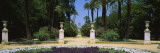 Trees in a Garden  Murillo Gardens  Seville  Spain