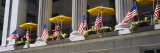 American Flags in a Row  New York  USA