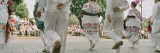 Traditional Yucatan Dance Performance  Merida  Yucatan  Mexico
