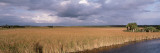 Big Cypress National Preserve along Tamiami Trail Everglades National Park  Florida  USA