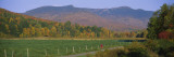 Woman Cycling on a Road  Stowe  Vermont  USA