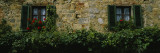 Flowers on a Window  Monteriggioni  Tuscany  Italy