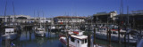 Boats Docked at a Harbor  Fisherman's Wharf  San Francisco  California  USA