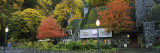 Trees at a Tourist Resort  Multnomah Falls  Columbia River Gorge National Scenic Area  Oregon  USA