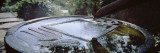 Bird Bath in a Garden