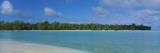 Palm Trees on an Island  Tetiaroa  French Polynesia
