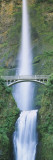 Bridge near a Waterfall  Multnomah Falls  Benson Bridge  Oregon  USA