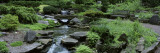 River Flowing Through a Forest  Inniswood Metro Gardens  Columbus  Ohio  USA