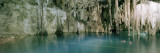 Swimmers in Cenote Dzitnup  Yucatan  Mexico