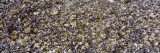 Clams and Mussels
