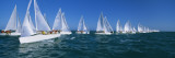 Sailboat Racing in the Ocean  Key West  Florida  USA
