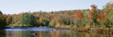 Deciduous Trees along Moose River  Adirondack Mountains  Adirondack State Park  New York  USA