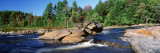 River Flowing through the Forest  Moose River  Adirondack State Park  New York  USA