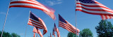 Fluttering American Flags