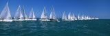 Sailboat Racing in the Ocean  Key West  Florida  USA