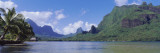 Palm Trees on the Beach  Moorea  French Polynesia