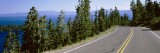 Pine Trees on Both Sides of Highway 89  Lake Tahoe  California  USA