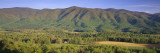 Church in a Forest  Great Smoky Mountains National Park  Tennessee  USA