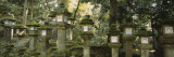 Stone Lanterns  Kasuga Taisha  Nara  Japan