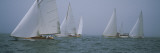 Sailboats at Regatta  Newport  Rhode Island  USA