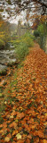 Leaves on the Grass in Autumn  Sneaton  North Yorkshire  England  United Kingdom