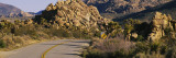 Road Running through a Landscape  Joshua Tree National Monument  California  USA
