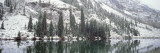 Reflection of Trees in a Lake  Maroon Lake  Maroon Bells  Aspen  Colorado  USA