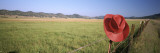 Red Cowboy Hat Hanging on the Fence  California  USA