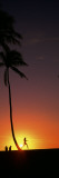 Silhouette of a Woman Running on the Beach  Magic Island  Hawaii  USA