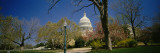 Formal Garden in Front of a Government Building  Us Capitol Building  Washington DC  USA