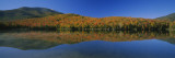 Reflection of Trees and Hill in a Lake  Heart Lake  Adirondack  New York State  USA