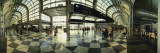 Passengers at an Airport  O'Hare Airport  Chicago  Illinois  USA